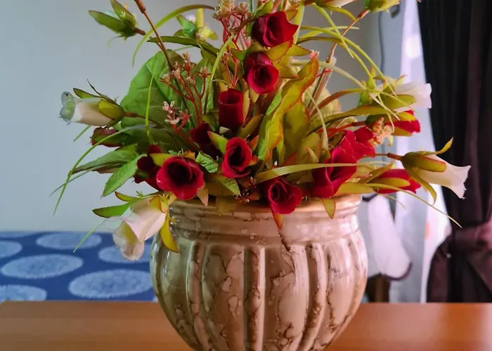 度假居 Tranquility 地拉那